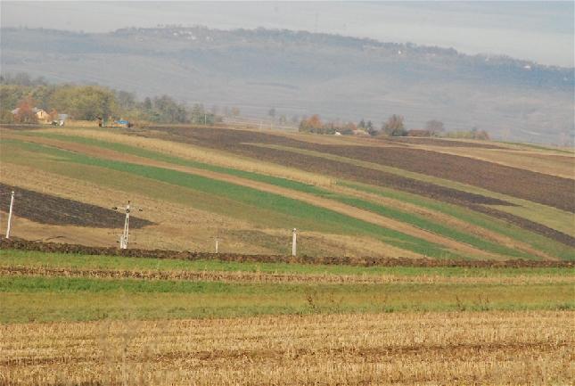 Codrii Hertei/DSC_0737.jpg